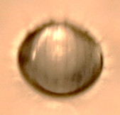 Пелена и брызги первичного контакта капли с жидкостью 0.2 мс
