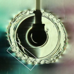 Теневая фотография распада тороидального краевого вихря на вращающемся в стратифицированной жидкости вертикальном диске на регулярную систему вихревых петель